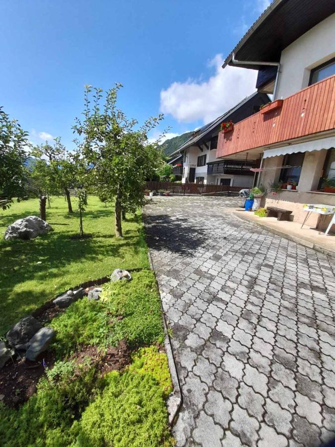 Apartment Katrin Zirovnica Exterior foto